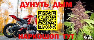 мдпв Владимир