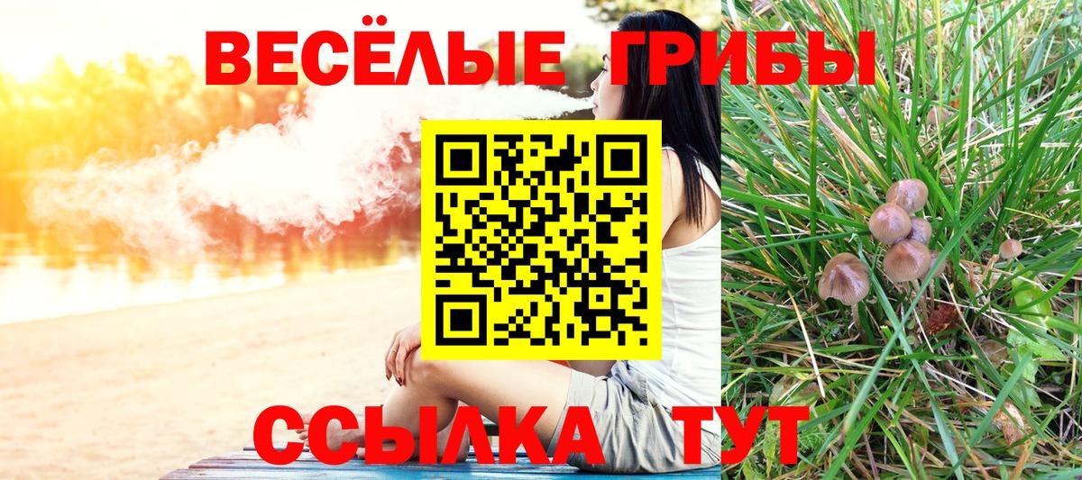 Псилоцибиновые грибы прущие грибы  Вход с VPN  Псков 